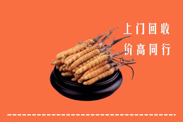 高价求购：赣州市大余回收散虫草