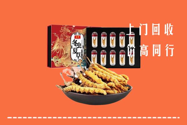 赣州市大余回收虫草